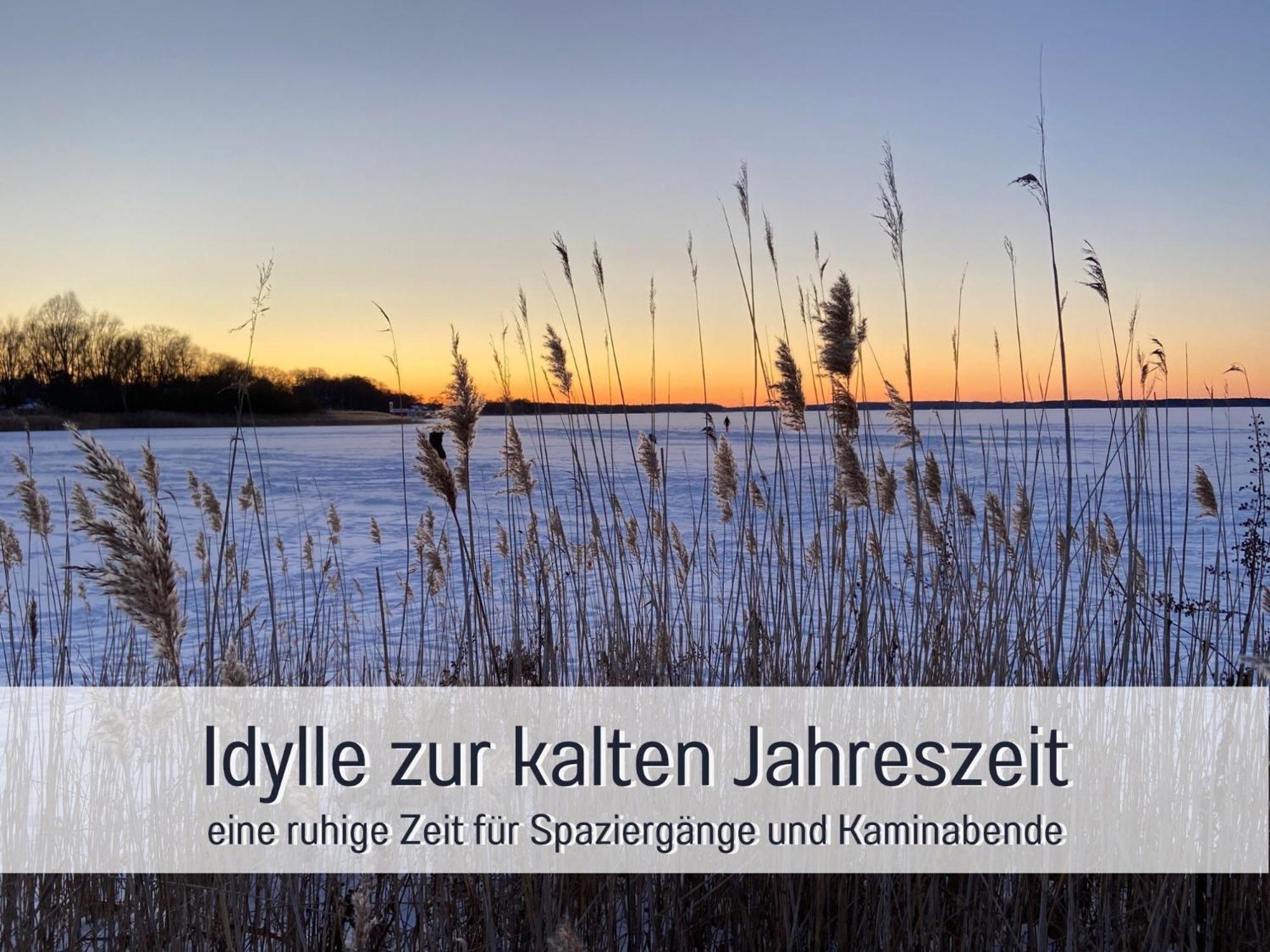 Strandhaus Mathea - Ruhige Lage Direkt Am Fleesensee - Parkplatz, Kamin, Sauna - Familienfreundlich Unter Göhren エクステリア 写真