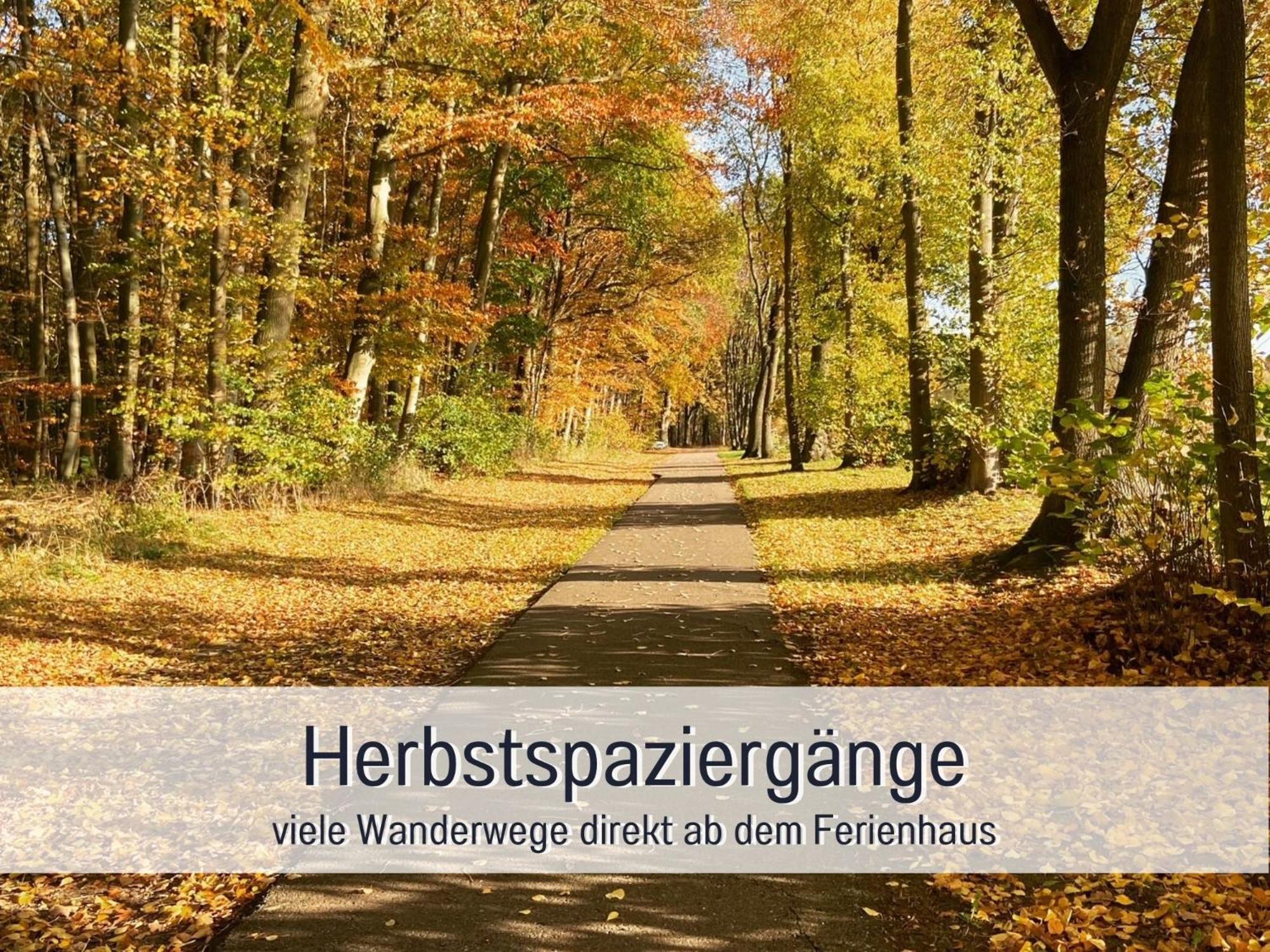 Strandhaus Mathea - Ruhige Lage Direkt Am Fleesensee - Parkplatz, Kamin, Sauna - Familienfreundlich Unter Göhren エクステリア 写真